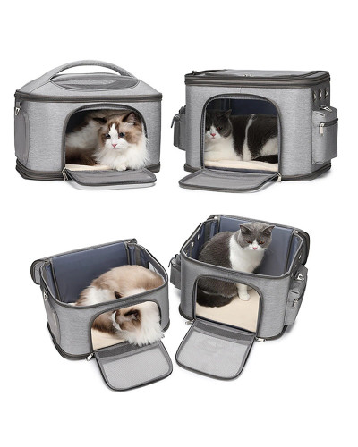 Cat backpack for 2 cats (or lots of kittens) Cat backpack for 2 cats (or lots of kittens)