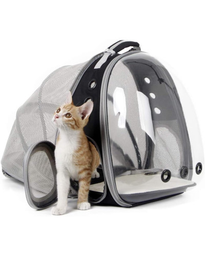 Cat bubble backpack - expandable version